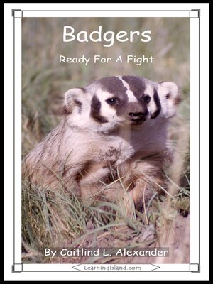 cover image of Badgers